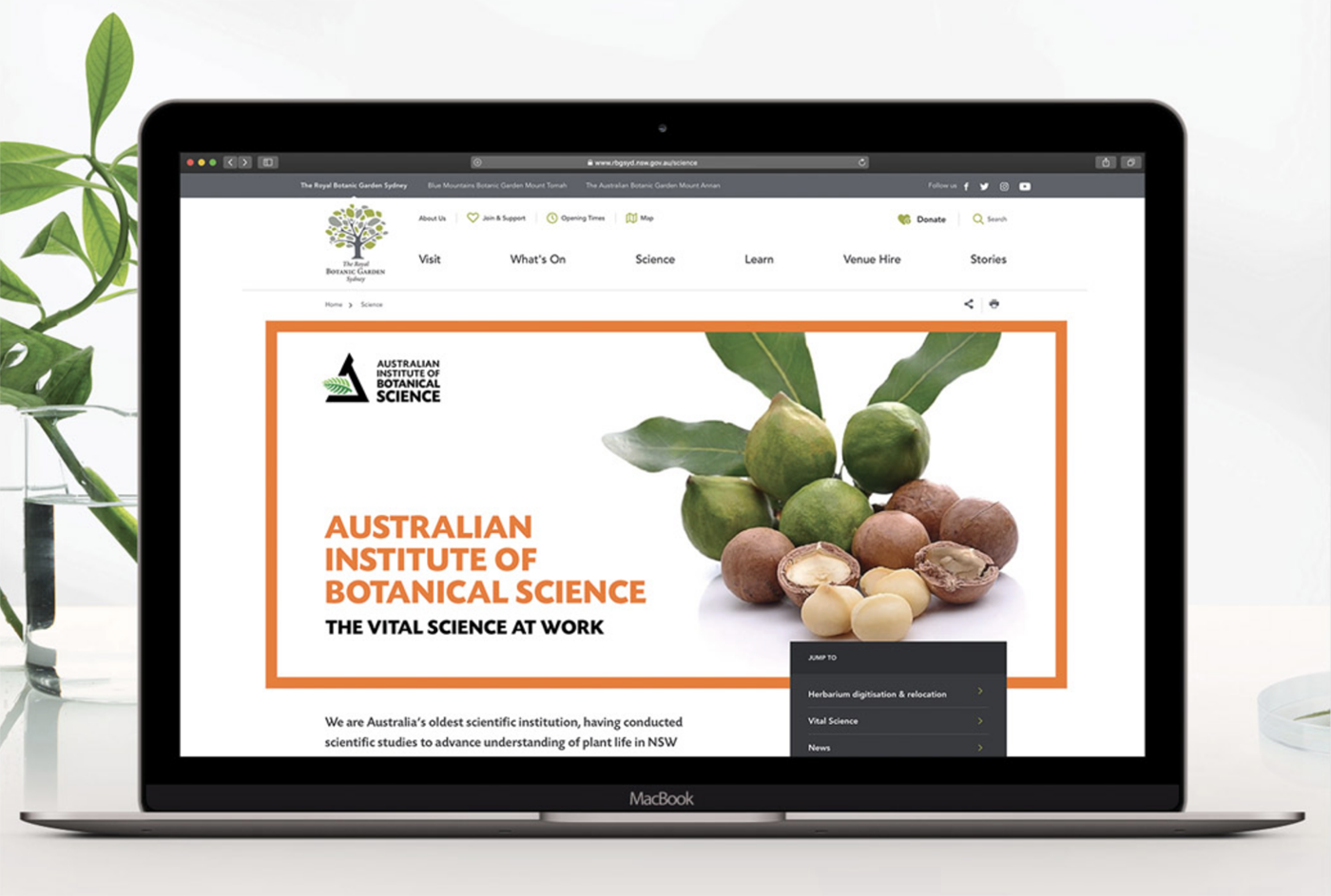 植物科学研究所公布了由品牌设计公司执行的新logo设计